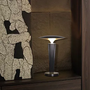 Volcanic cloud hand-dying antique bronze dimmable LED desk lamp